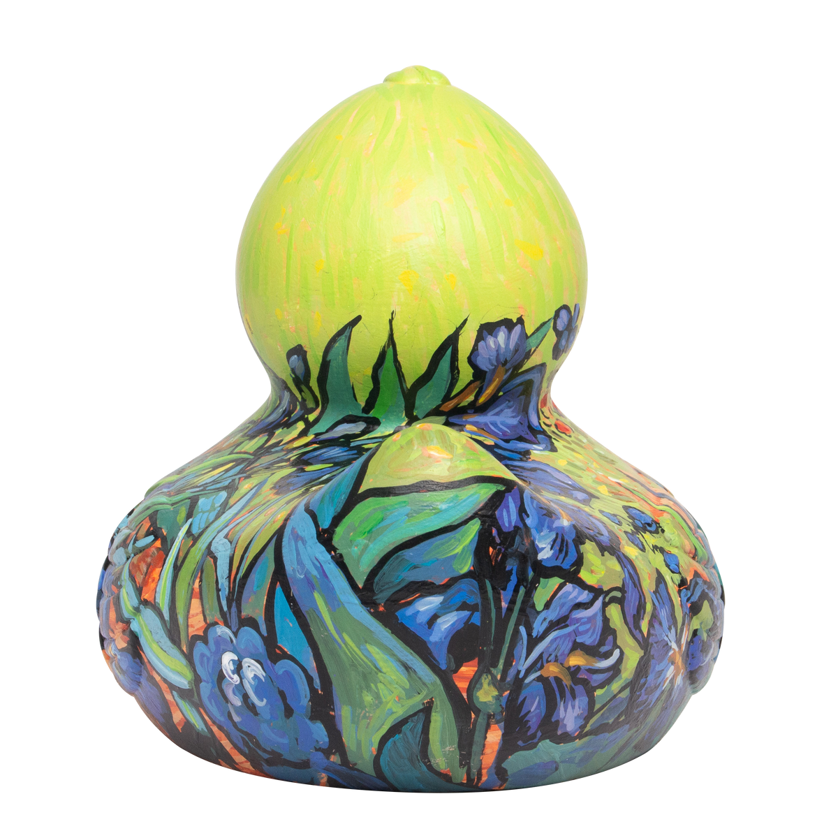 Irises Duck