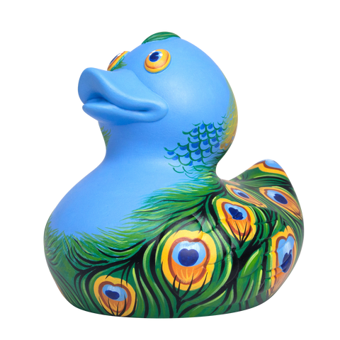 Pretty Peacock Duck