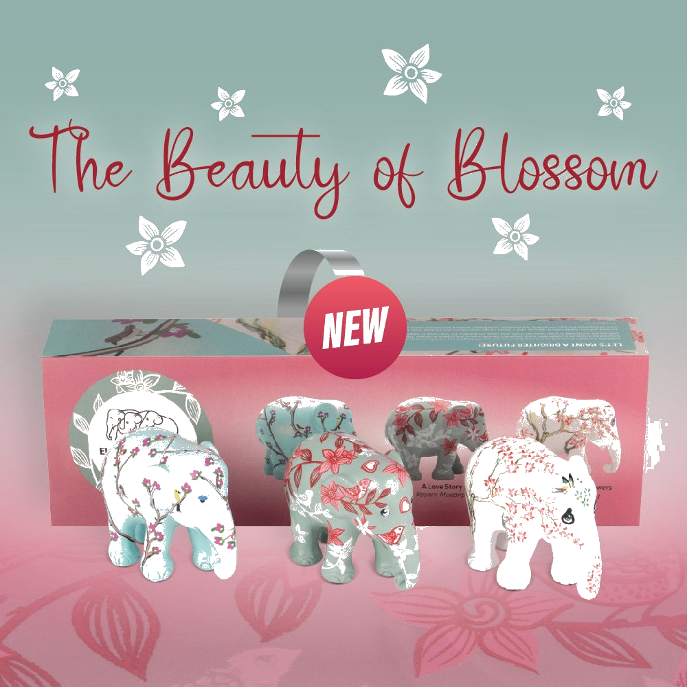 The Beauty of Blossom